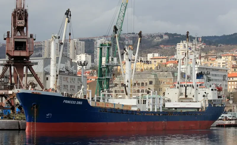 PRINCESS DINA General Cargo IMO 8223854 photo 7
