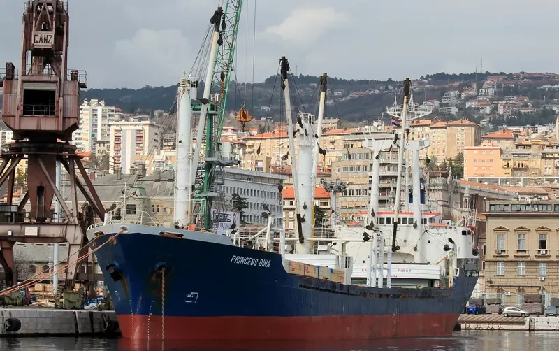 PRINCESS DINA General Cargo IMO 8223854 photo 8