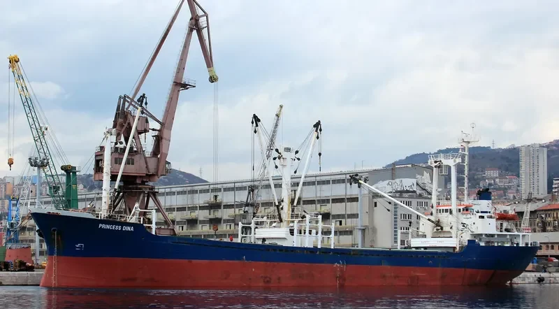 PRINCESS DINA General Cargo IMO 8223854 photo 9