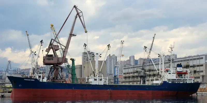 PRINCESS DINA General Cargo IMO 8223854 photo 10