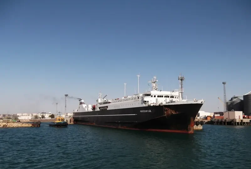 PROFESSOR GUL Ro-Ro IMO 8225371 photo 9