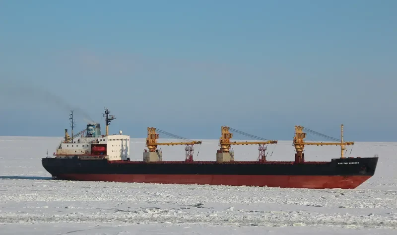 KAPITAN VODENKO Bulk Carrier IMO 8225498 photo 5