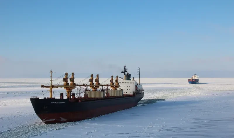 KAPITAN VODENKO Bulk Carrier IMO 8225498 photo 6