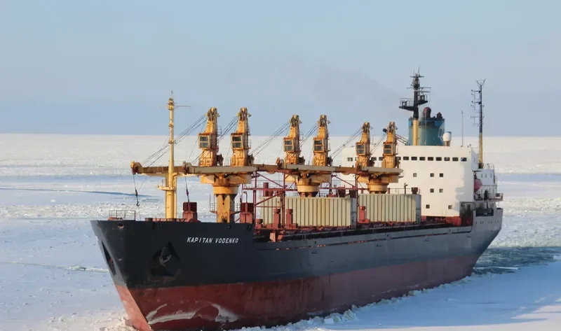 KAPITAN VODENKO Bulk Carrier IMO 8225498 photo 7
