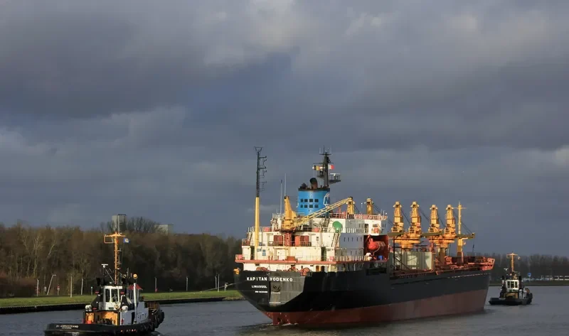 KAPITAN VODENKO Bulk Carrier IMO 8225498 photo 10