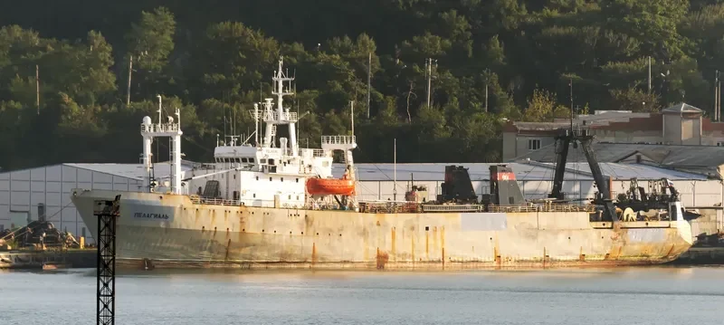 PELAGIAL General Cargo IMO 8225539