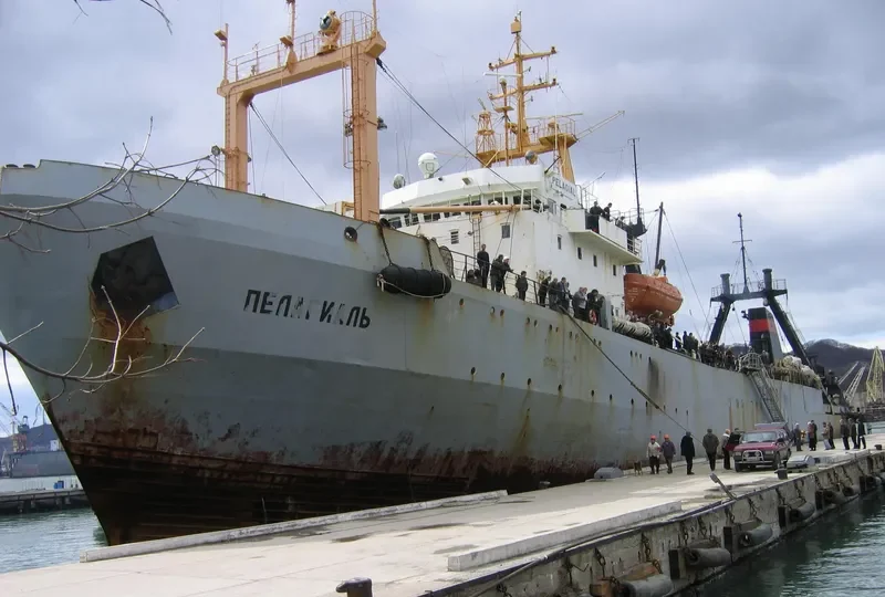 PELAGIAL General Cargo IMO 8225539 photo 2
