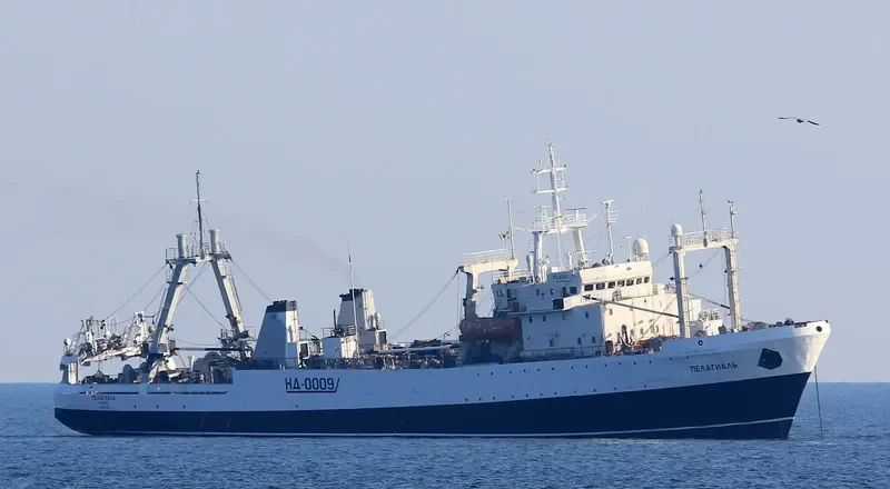 PELAGIAL General Cargo IMO 8225539 photo 7