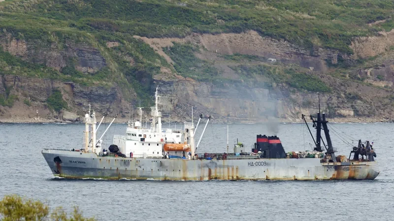 PELAGIAL General Cargo IMO 8225539 photo 8