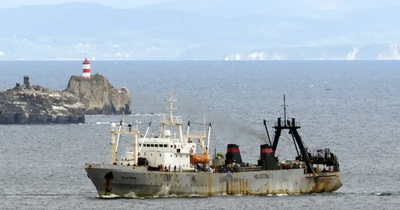 PELAGIAL General Cargo IMO 8225539 photo 10