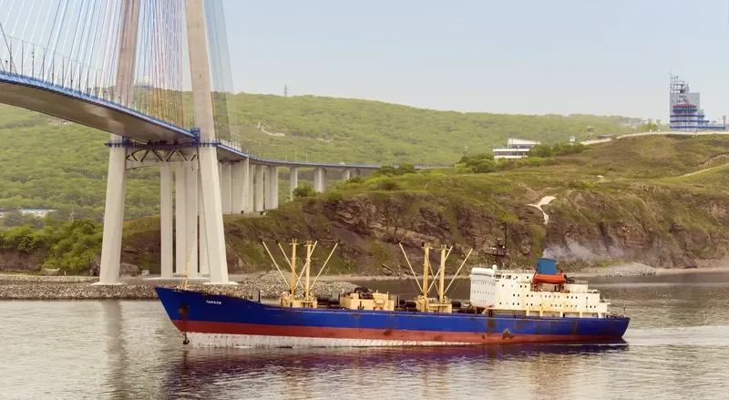 TAMBOV General Cargo IMO 8225723 photo 3