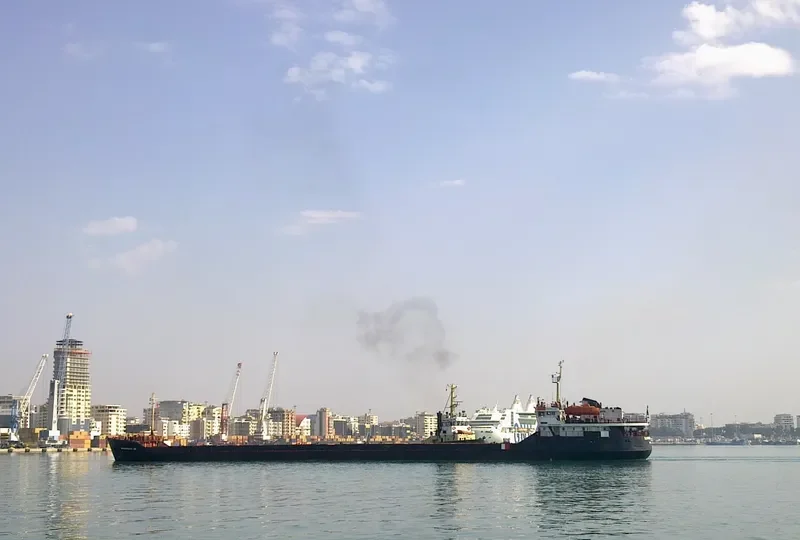 SORMOVSKIY 48 General Cargo IMO 8226428 photo 4