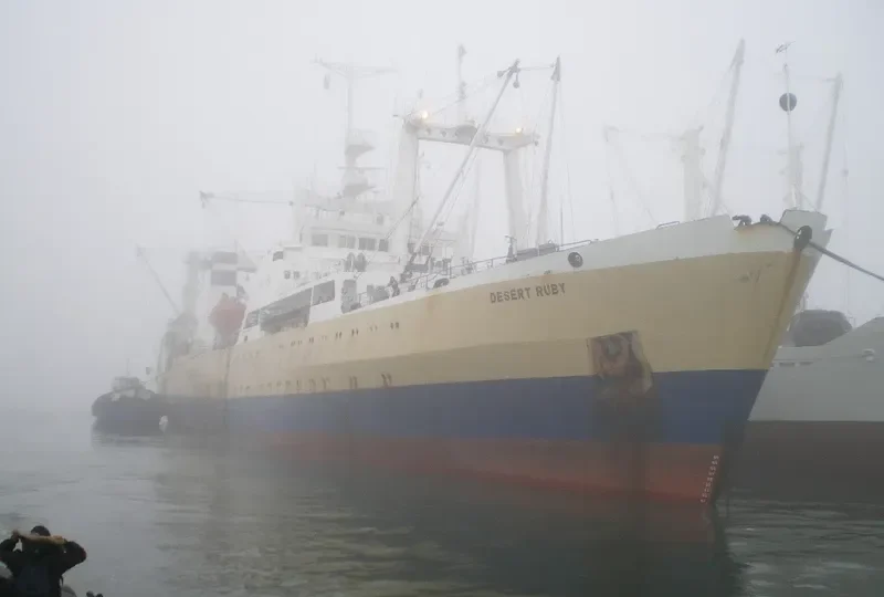 DESERT RUBY General Cargo IMO 8227290 photo 2