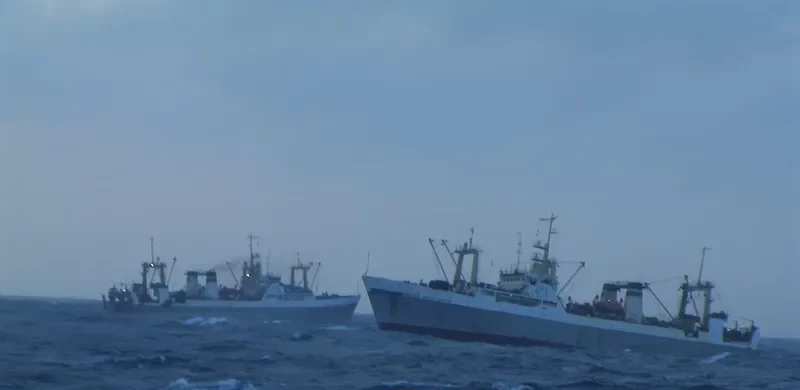 PORFIRY CHANCHIBADZE General Cargo IMO 8228684 photo 5
