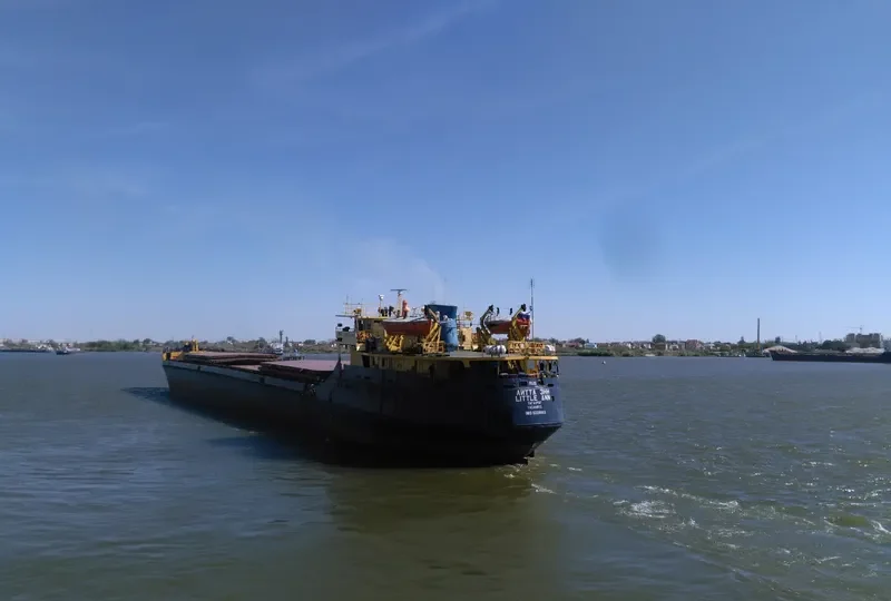 LITTLE ANN General Cargo IMO 8230003