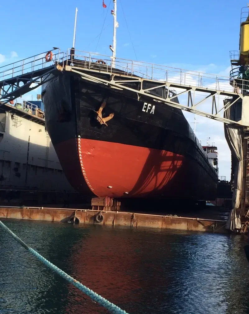 EFA General Cargo IMO 8230027 photo 3