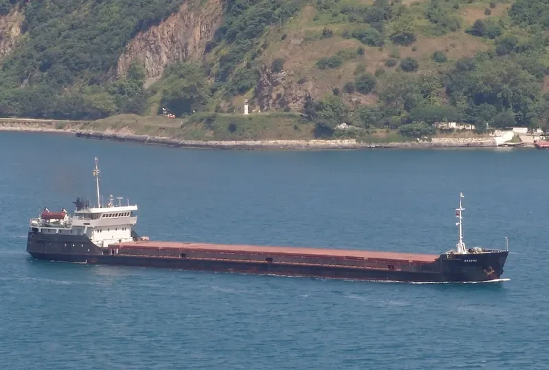 AZOVSKIY VETER General Cargo IMO 8230168 photo 2