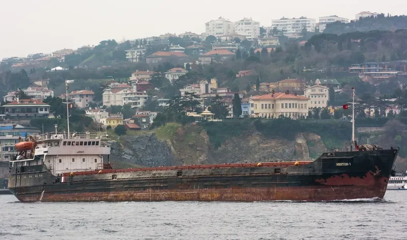 MERTON 1 General Cargo IMO 8230170 photo 7