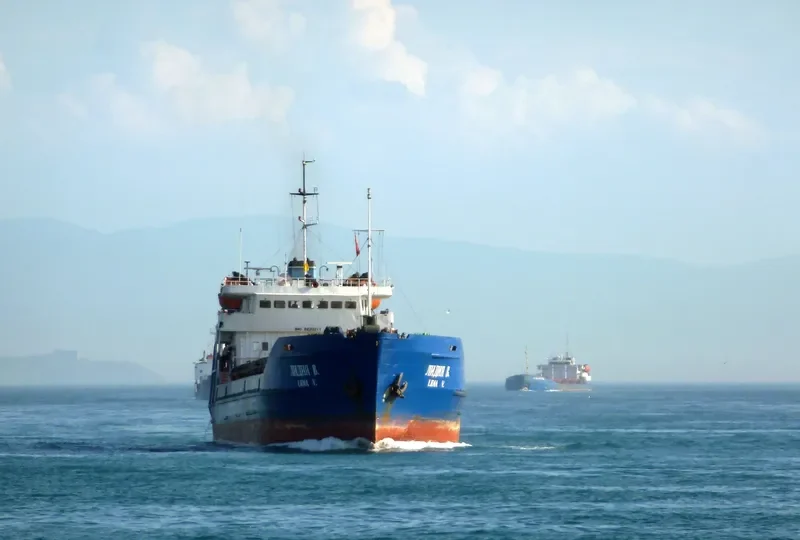 LIDIA V. General Cargo IMO 8230211 photo 8
