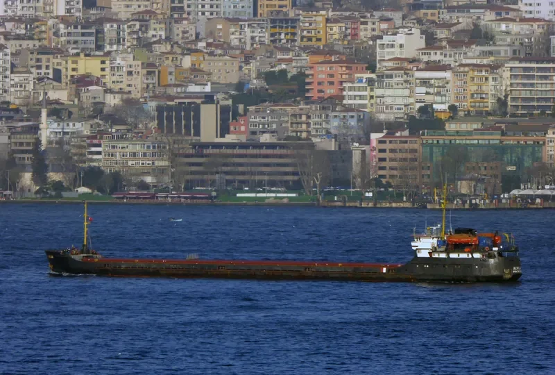NILA General Cargo IMO 8230314 photo 2