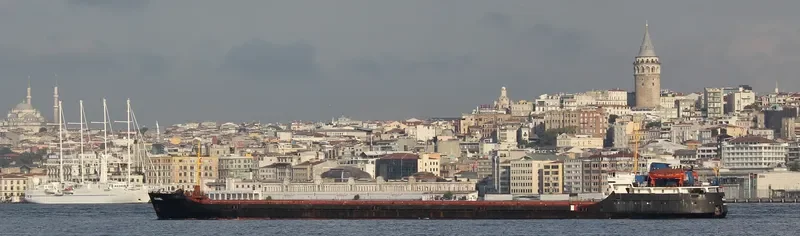 NILA General Cargo IMO 8230314 photo 7