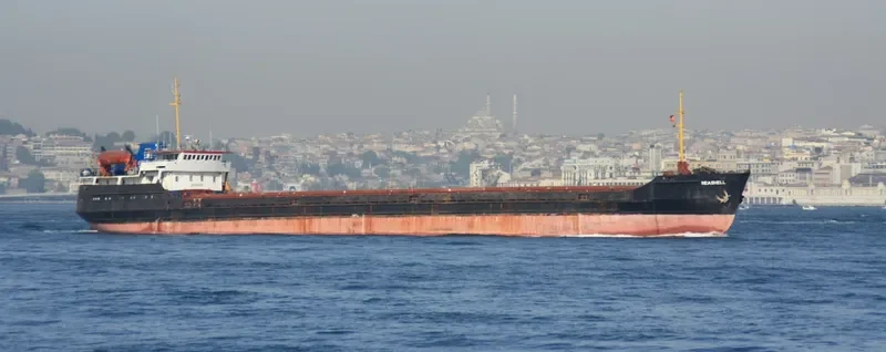 NILA General Cargo IMO 8230314 photo 8