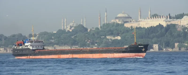 NILA General Cargo IMO 8230314 photo 9