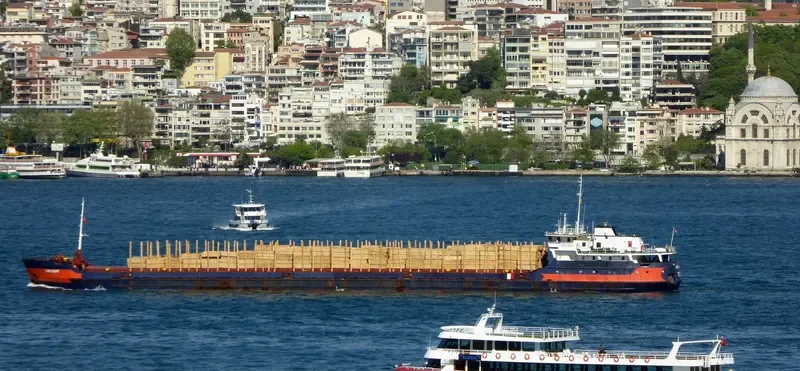 DAYLIGHT General Cargo IMO 8230352 photo 6