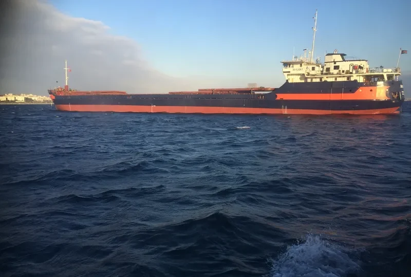 DAYLIGHT General Cargo IMO 8230352 photo 7
