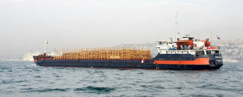 DAYLIGHT General Cargo IMO 8230352 photo 10