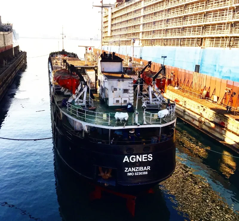 AGNES General Cargo IMO 8230388