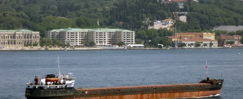 BELLATRIX General Cargo IMO 8230405 photo 3
