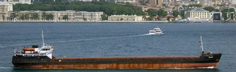 BELLATRIX General Cargo IMO 8230405 photo 4