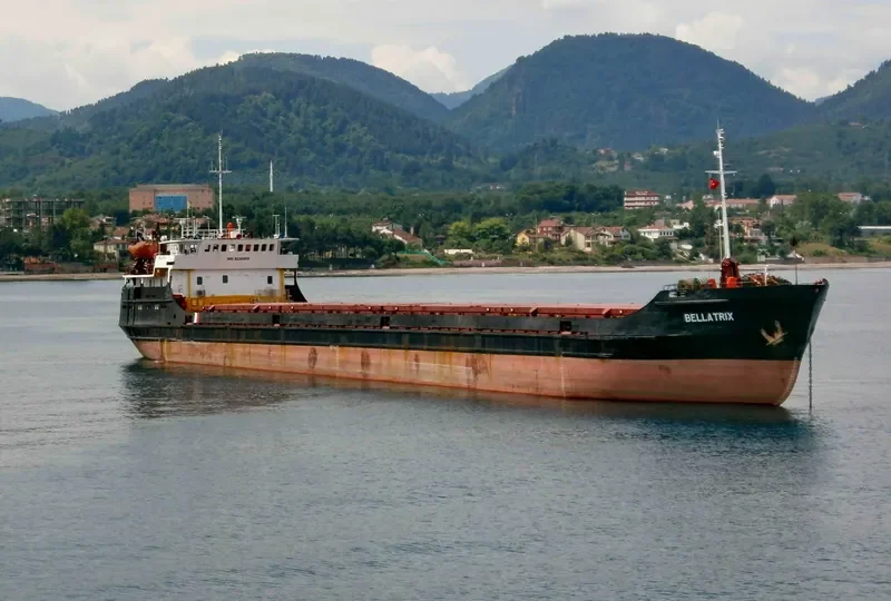 BELLATRIX General Cargo IMO 8230405 photo 10