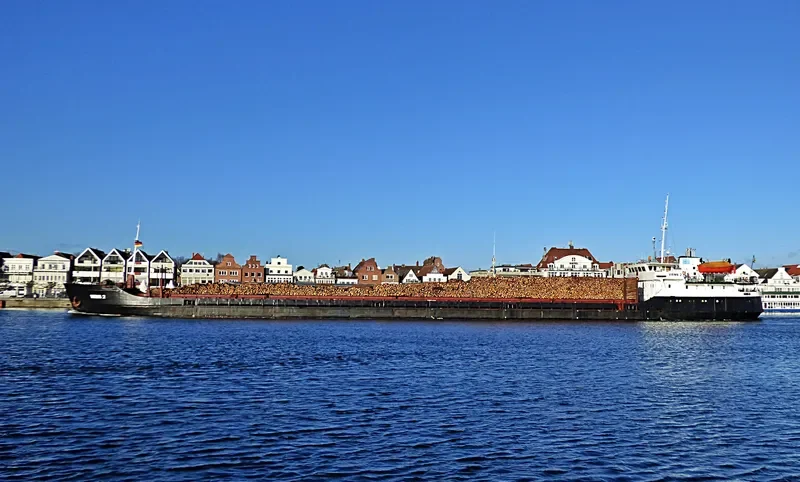 VIRMA 2 General Cargo IMO 8230481 photo 7