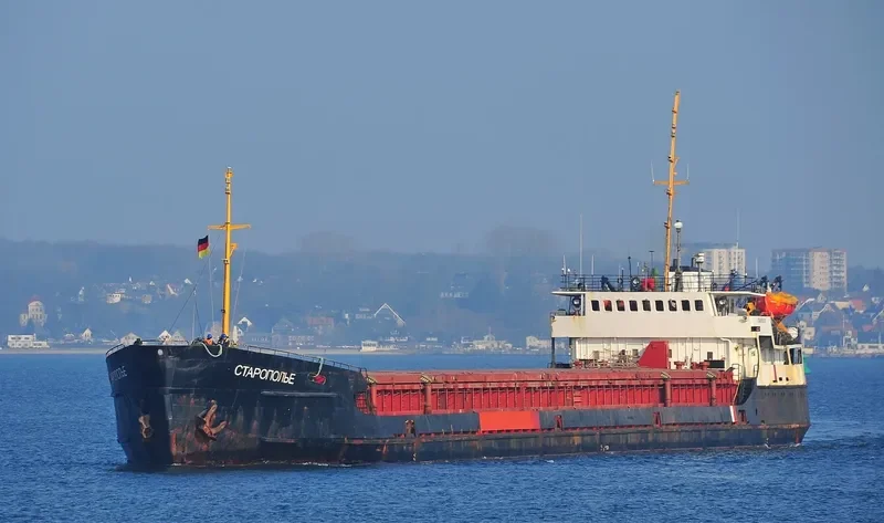 STAROPOLYE General Cargo IMO 8230522 photo 2