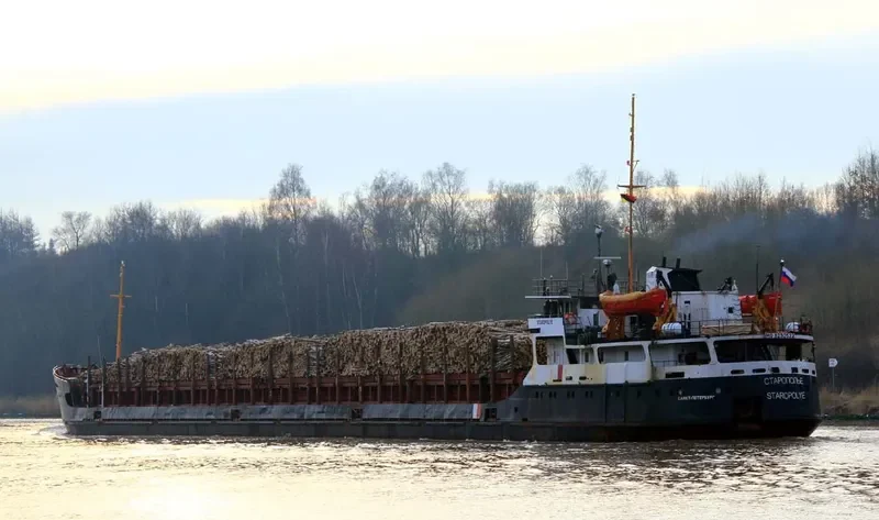 STAROPOLYE General Cargo IMO 8230522 photo 6