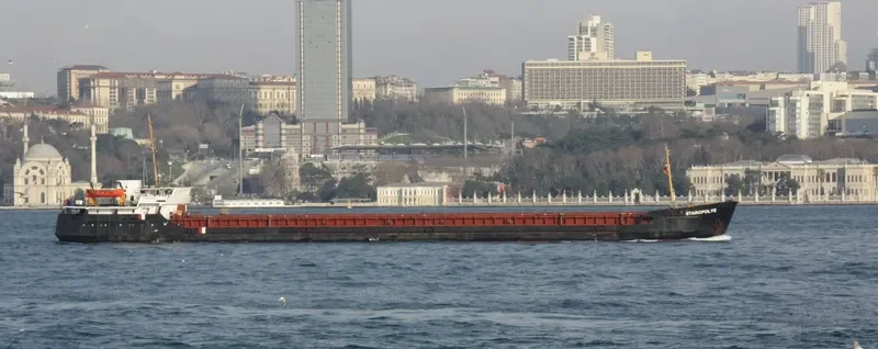STAROPOLYE General Cargo IMO 8230522 photo 9
