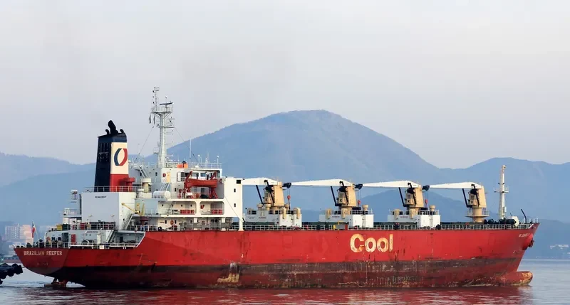 BRAZILIAN REEFER General Cargo IMO 8300377 photo 8
