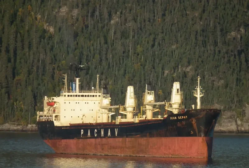 MISTRAL Bulk Carrier IMO 8300585 photo 6
