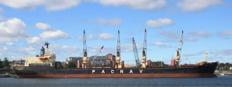 MISTRAL Bulk Carrier IMO 8300585 photo 7