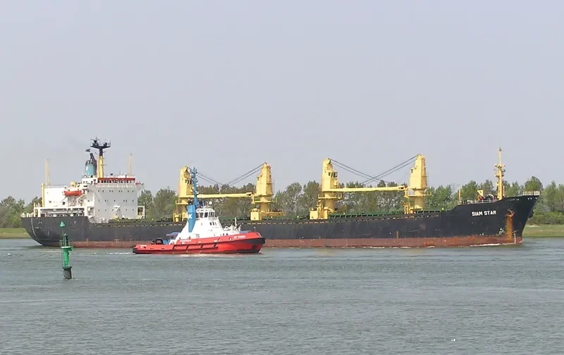 SIAM STAR Bulk Carrier IMO 8300597 photo 2