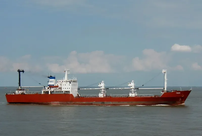 TIBOR General Cargo IMO 8301034 photo 5
