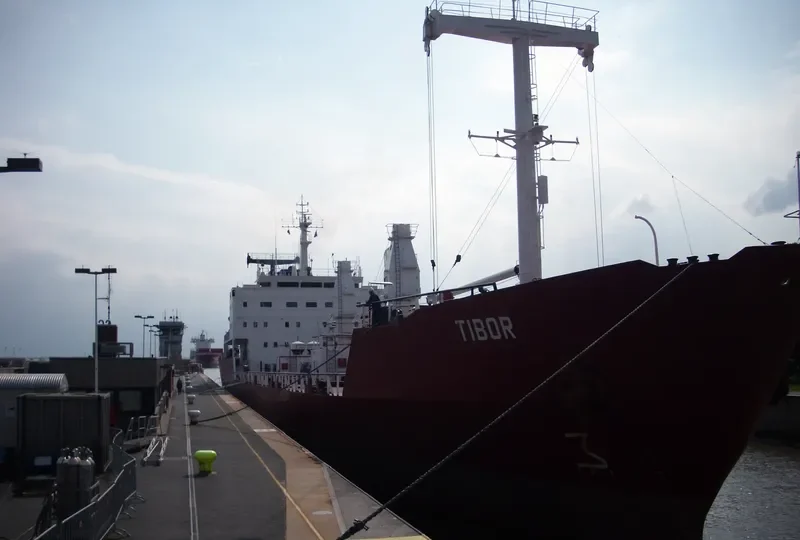 TIBOR General Cargo IMO 8301034 photo 8