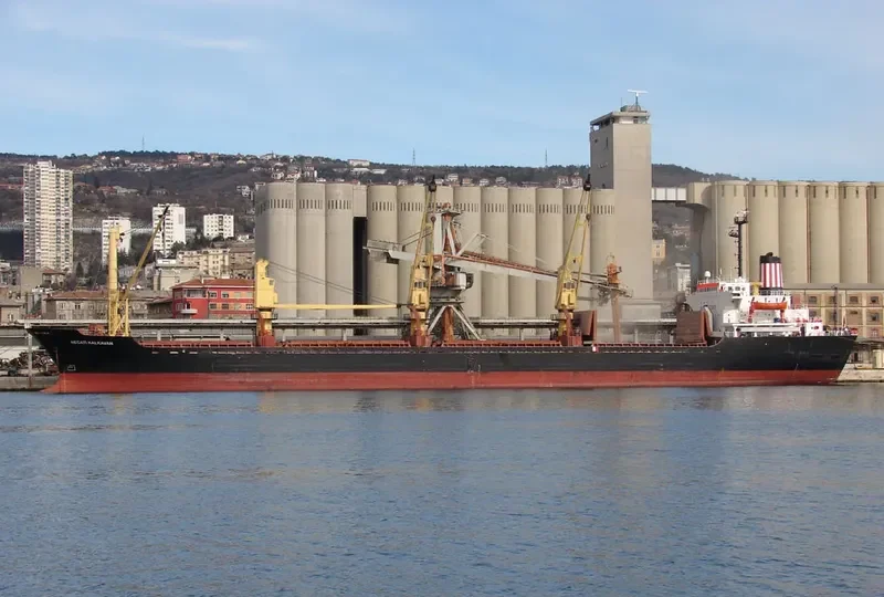 BLACK SEA Bulk Carrier IMO 8301620 photo 4