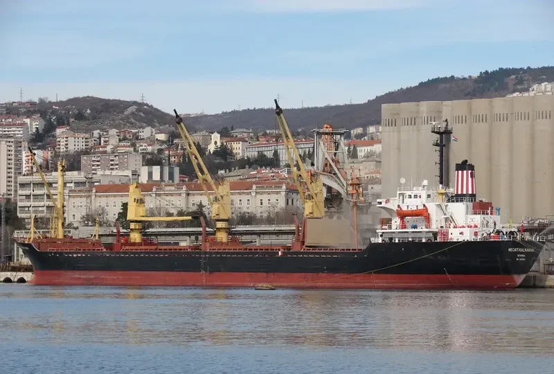 BLACK SEA Bulk Carrier IMO 8301620 photo 5