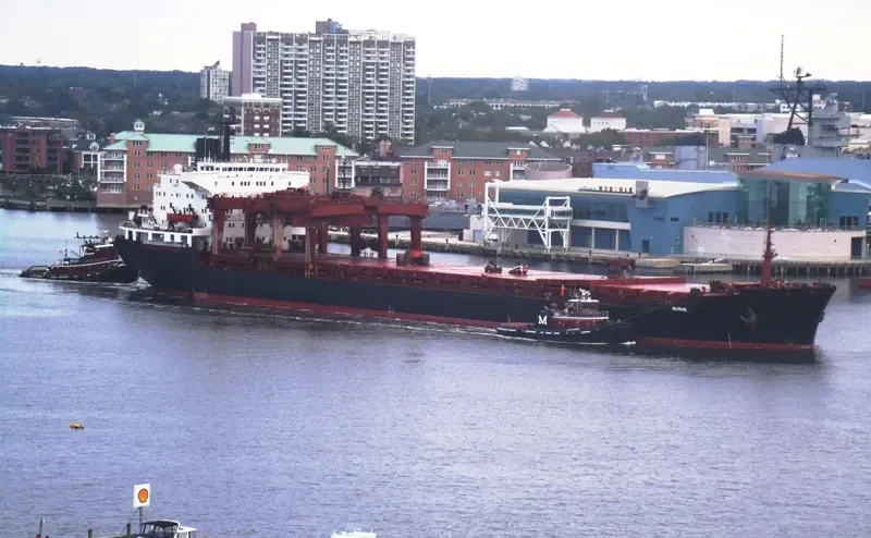 SEA PEARL General Cargo IMO 8302179 photo 10