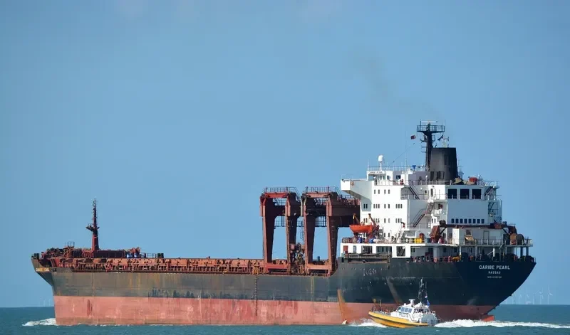 CARIBE PEARL General Cargo IMO 8302181 photo 2
