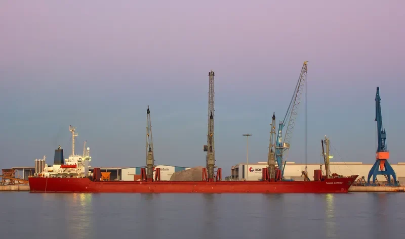 WEALTHY OCEAN Bulk Carrier IMO 8306852