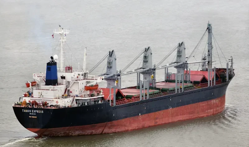 WEALTHY OCEAN Bulk Carrier IMO 8306852 photo 2